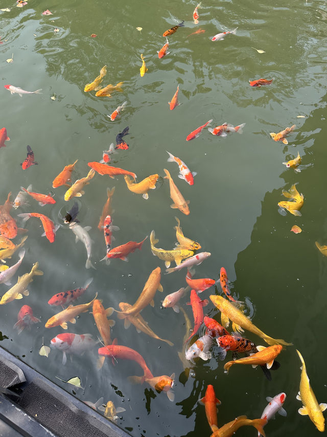 安吉Staycation冬季的聖誕氛圍也太棒啦 安吉Staycation冬季的聖誕氛圍也太棒啦