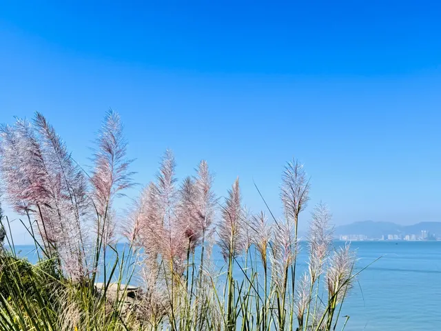 記錄【惠東•巽寮灣】11.29晴 記錄【惠東•巽寮灣】11.29晴