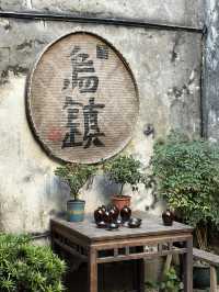 史上最全烏鎮遊玩攻略|等你來打卡江南水鄉!