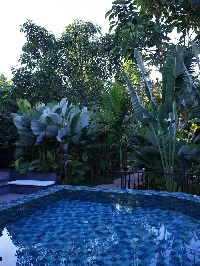 版納野奢酒店娜紮楊迪也愛住