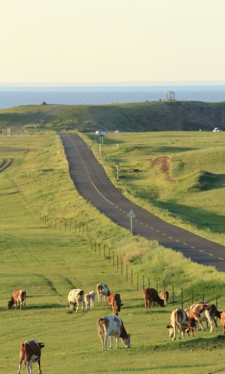 Конец степи — это море｜Озеро Хулун