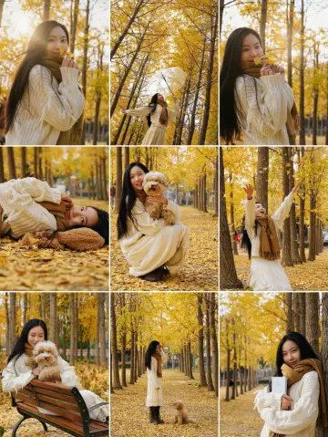 December 5th, real shots of a hidden ginkgo forest by the roadside in Shanghai! High photo success rate