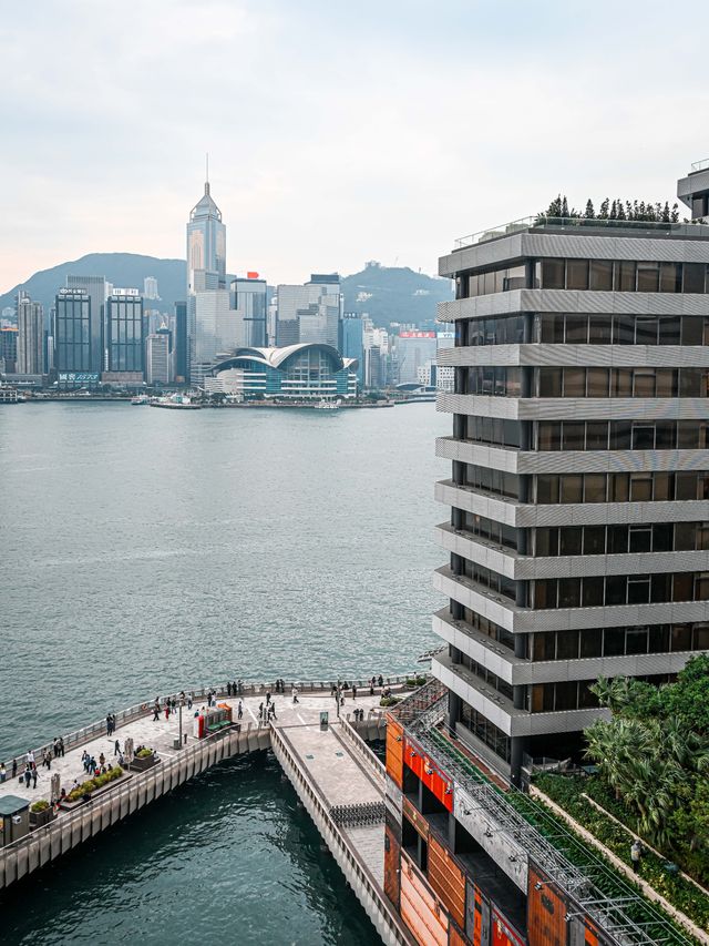 K11免費觀景台攻略｜解鎖維港黃金機位的秘密基地