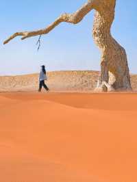 烏海 | 一半沙漠一半海,被低估的小眾城市!