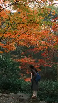 吊打京都沒人告訴我杭州的秋天這麼頂啊