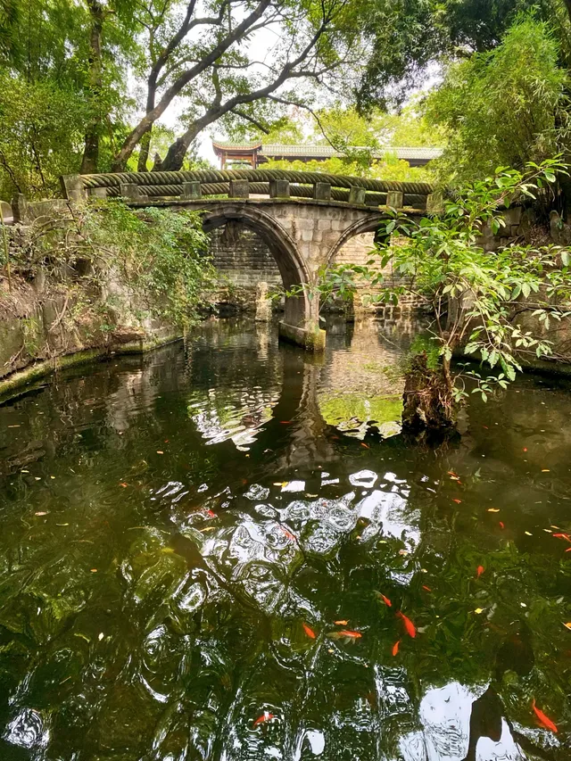 半山崖線鵝嶺棧道鵝嶺公園一站遊玩攻略