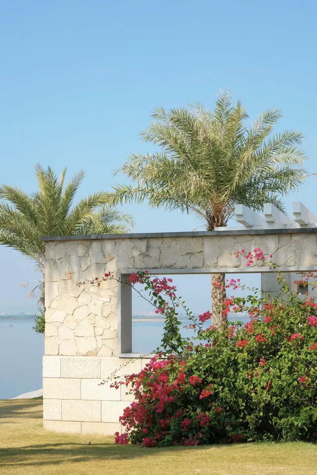 在廈門馬銮灣一起走三角梅花路啦! 在廈門馬銮灣一起走三角梅花路啦!