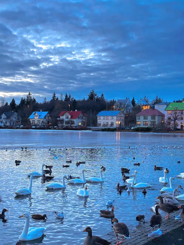 冰島|Reykjavik Day 半日City Walk 冰島|Reykjavik Day 半日City Walk