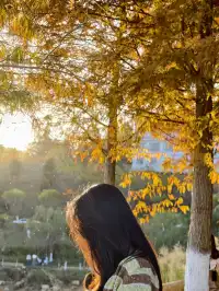 郴州,一個彷彿一直在塞車的城市