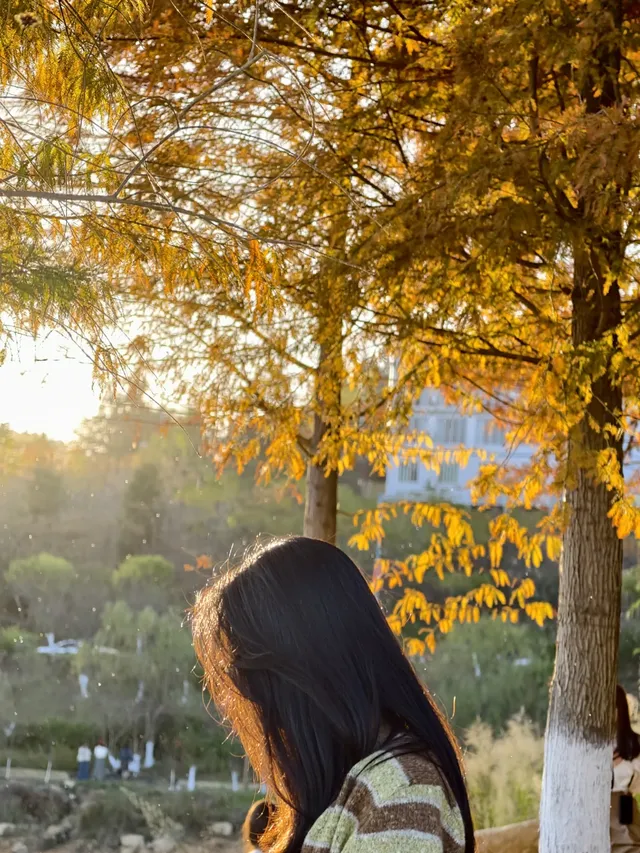 郴州,一個彷彿一直在塞車的城市 郴州,一個彷彿一直在塞車的城市