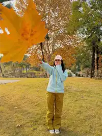 上海植物園紅葉撿秋墜美機位