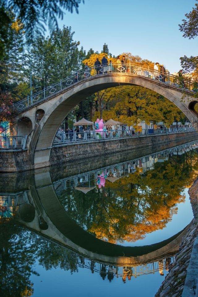 昆明秋日頂流滇樸鎏金季!保姆級打卡攻略,錯過等一年 昆明秋日頂流滇樸鎏金季!保姆級打卡攻略,錯過等一年