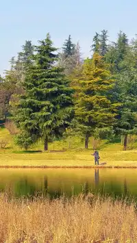 西安高新小森林