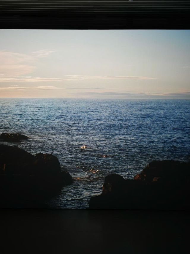 魔都看展|上海當代藝術博物館打卡,絕美光影藝術展 魔都看展|上海當代藝術博物館打卡,絕美光影藝術展