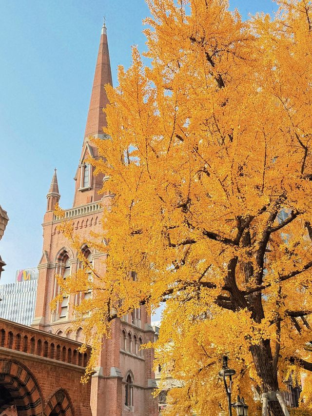 深秋限定！上海聖三一教堂銀杏與穹頂的絕美邂逅