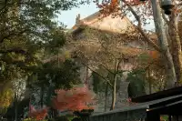 南京秋冬懶人路線