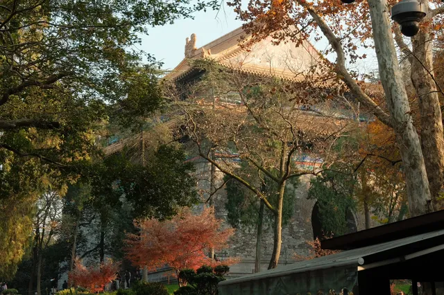 南京秋冬懶人路線 南京秋冬懶人路線