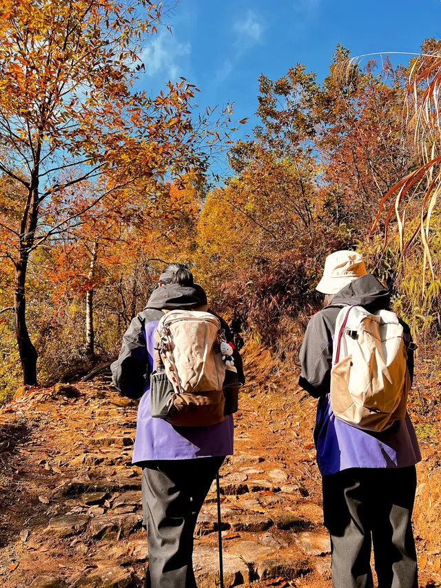 台州賞秋封神4條徒步路線建議收藏~ 台州賞秋封神4條徒步路線建議收藏~