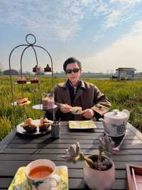 成都周邊1h冬日泡湯+麥田下午茶🫖