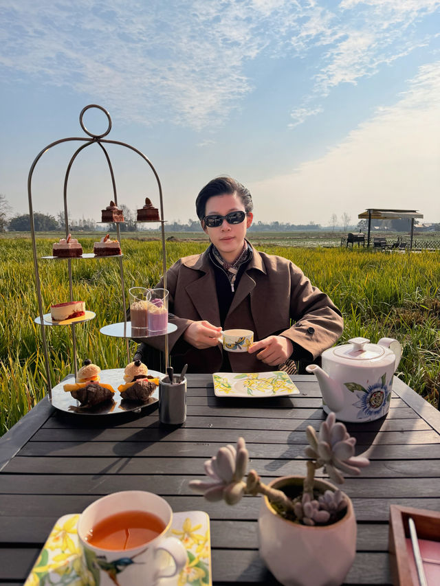 成都周邊1h冬日泡湯+麥田下午茶🫖