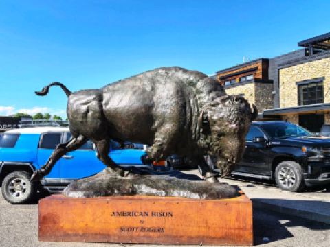 잭슨 도시 광장, 서부풍의 로맨틱 명소