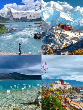 Весна в Тибете | Встреча с верой и цветущие цветы на заснеженном плато