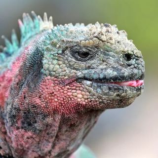 ดินแดนที่แสงแดดโปรดปราน: เอกวาดอร์