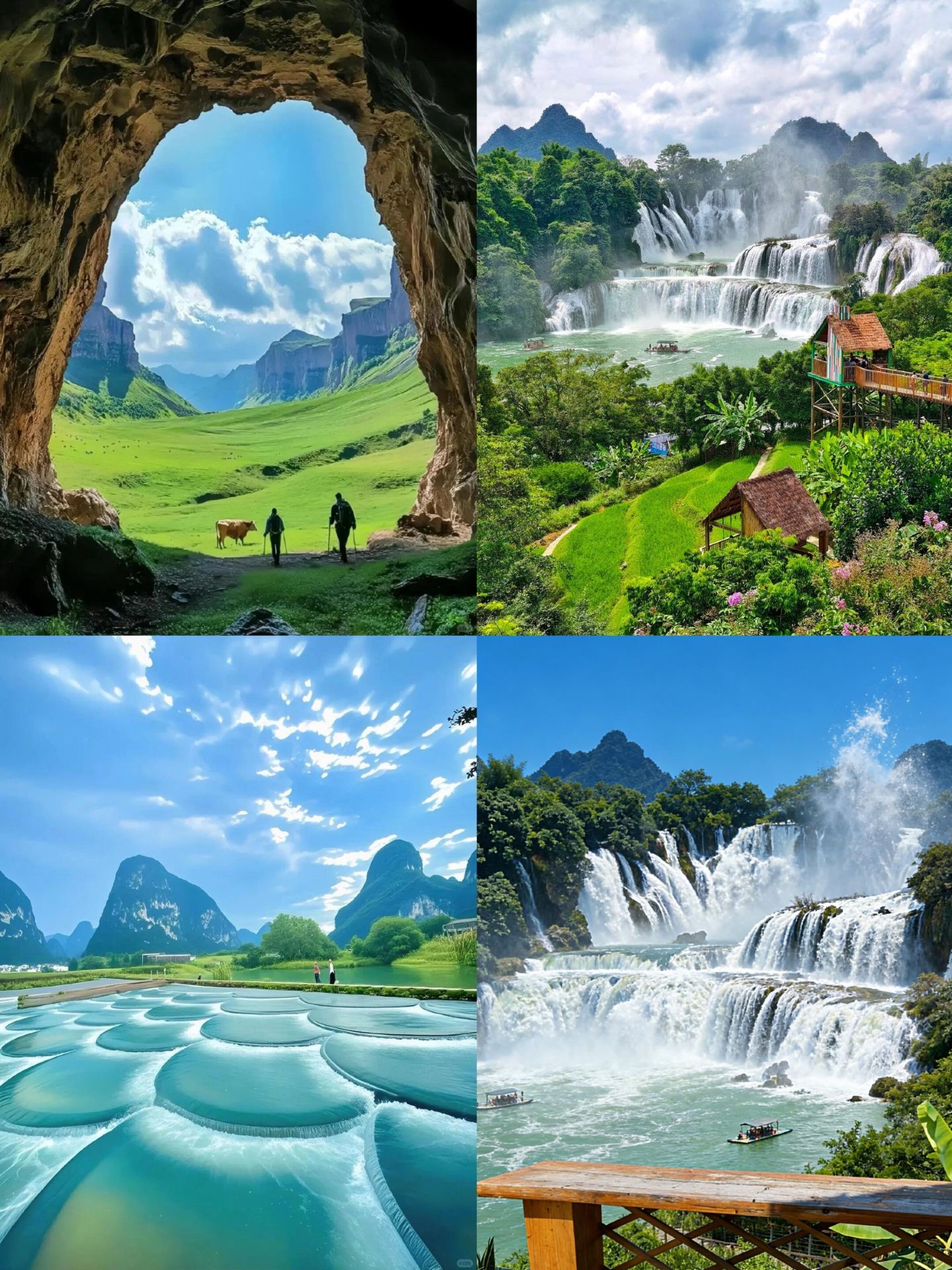 5 Days 4 Nights Guangxi Family Trip Guide! Take the kids to see pink dolphins + white-headed leaf monkeys for an amazing study tour