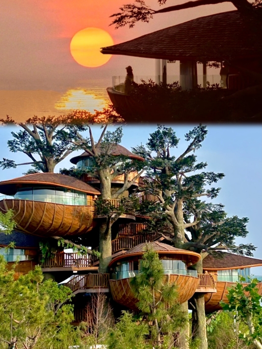 【送料込み】流木を使った癒しの森の中のツリーハウス6☆ seike_shugo | . No.0201 Japan Okinawa 「Treeful Treehouse