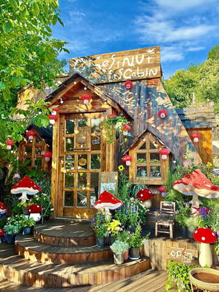 Beijing | Take the Kids to Be "Mushroom Kings" for a Day at Chestnut Village.