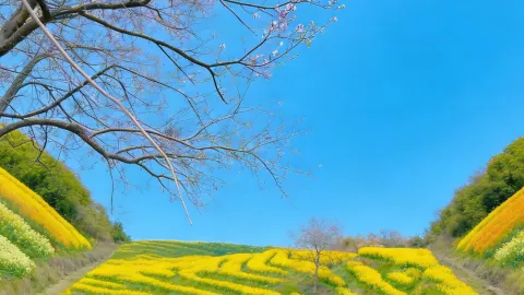 우위안의 계단식 논밭에 십 분 동안 서 있으니, 문득 '존재'라는 것이 무엇인지 깨달았다. — traveler post in 창더