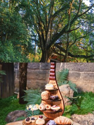 Tengchong staycation hidden gem: a slow escape beneath the volcano