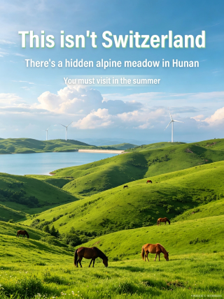 The ultimate lazy guide to a niche grassland for a 2-day, 1-night trip | No pitfalls here