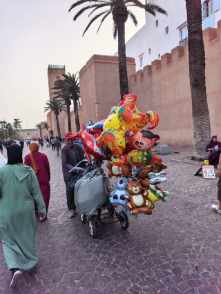 Place Moulay Hassan / The pulse of the Essaouira Medina
