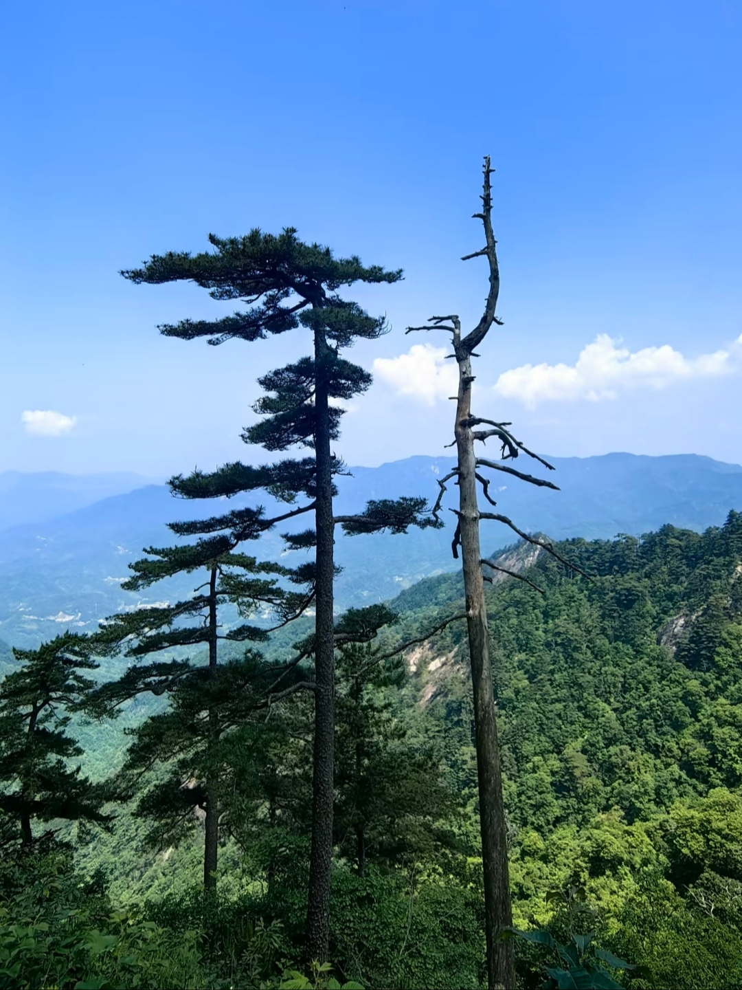 Baima Peak | The Hidden Wilderness of the Dabie Mountains' Main Peak