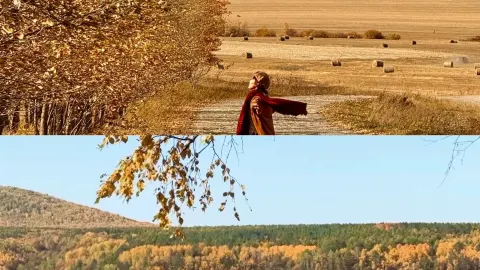 "I don't think I'll ever forget autumn in the Greater Khingan Mountains for the rest of my life." — traveler post in Heilongjiang
