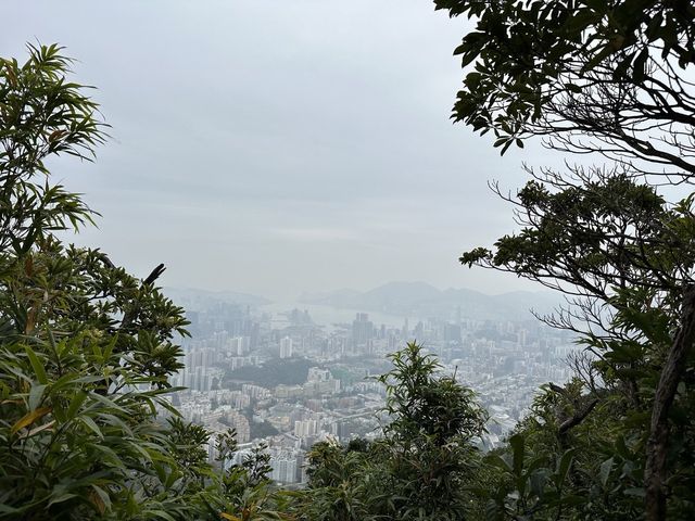 天陰陰的畢架山🌫️🌫️