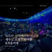 독특한 미디어아트 전시관, 노형수퍼마켙🍊