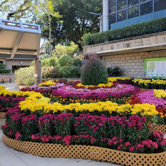 新年好去處之新春行大運。元朗公園