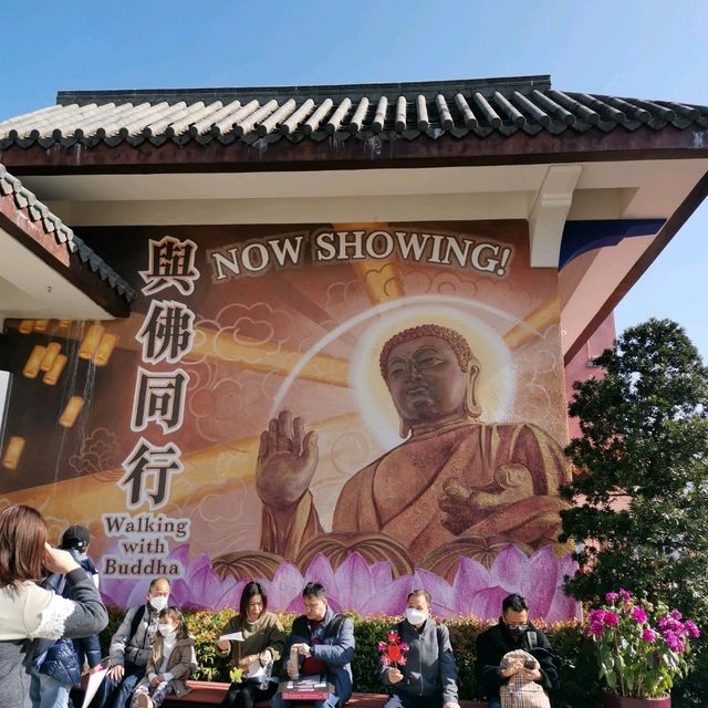 不似預期