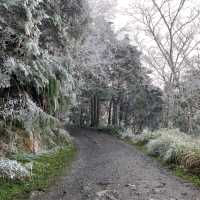 太平山，見晴懷古步道