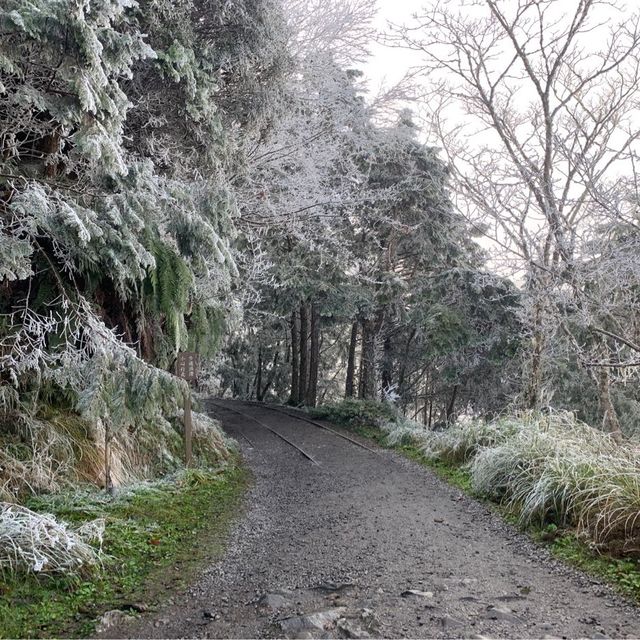 太平山，見晴懷古步道