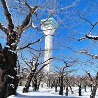 函館代表景點 五稜郭公園❄️