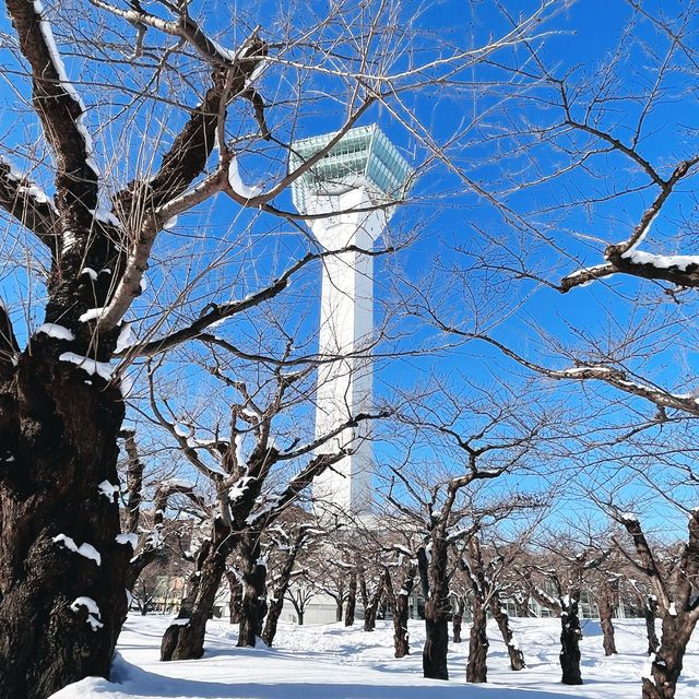 函館代表景點 五稜郭公園❄️