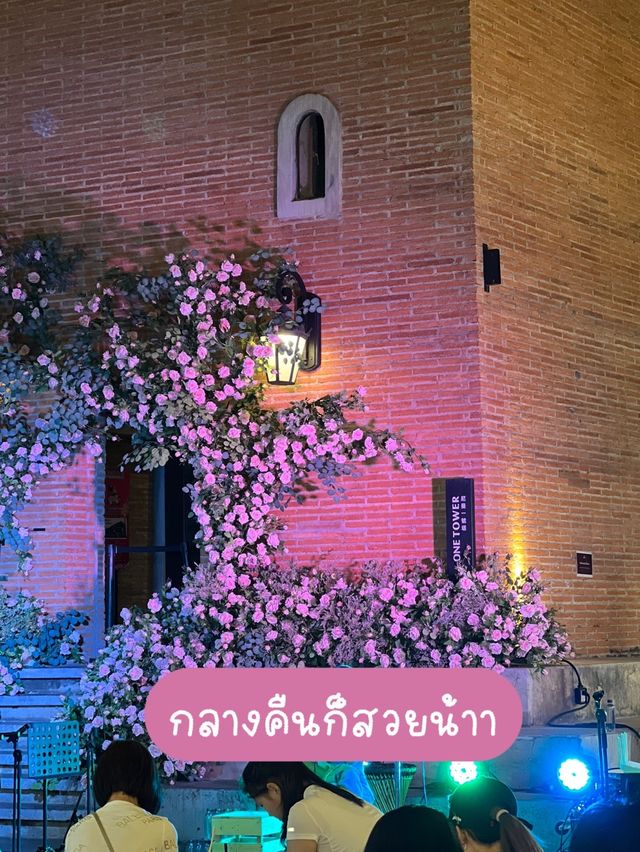 ห้ามพลาด‼️ จุดถ่ายรูปเชียงใหม่สุดจึ้ง ถ่ายฟรี 