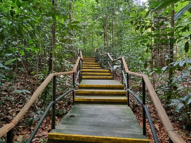 The only UNESCO world heritage site in 🇸🇬