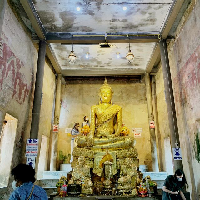 Ancient Temple in the Roots of Banyan Tree 🌳