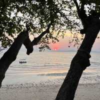 Birds & Bees Resort รีสอร์ทที่ธรรมชาติสุดๆในพัทยา