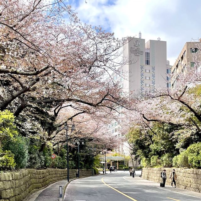 グランドプリンスホテル高輪の日本庭園でお花見