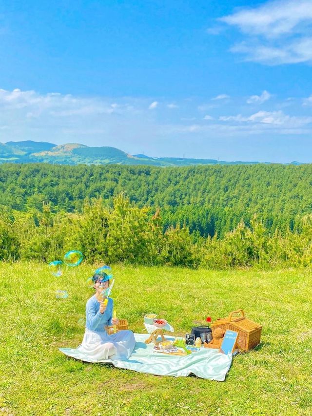 제주 동화 속 그 잡채 피크닉스팟🧺🌿